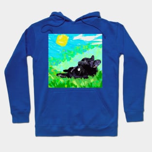 Black Kitten on a Sunny Day Hoodie